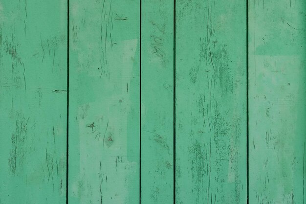 Green wood background
