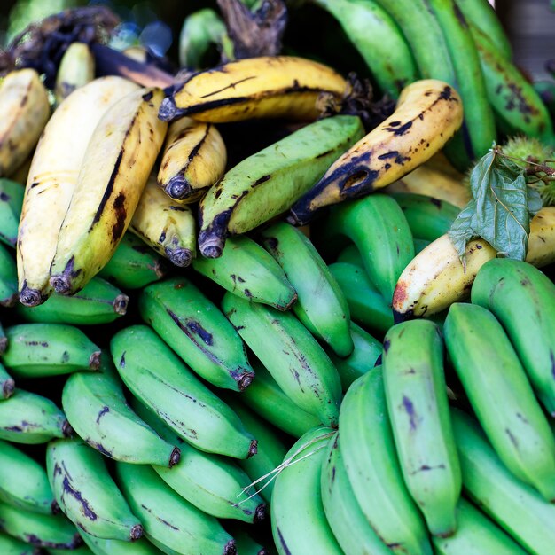 ドミニカ共和国の緑と黄色のバナナ