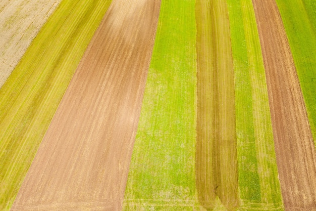 Green and yellow colors of the harvested field-good for background