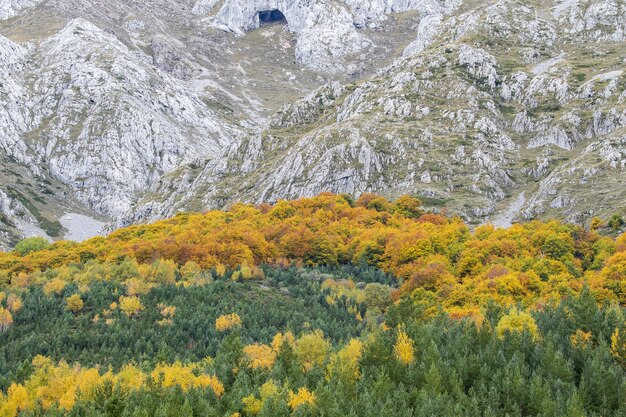 Valley of Flowers, Uttarakhand- 10 Best Hike Places in India