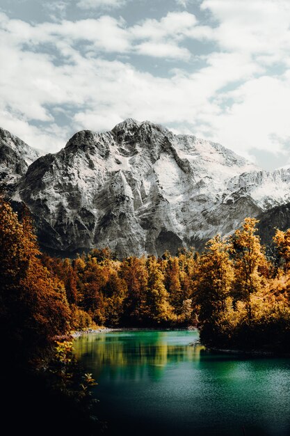 Green and yellow trees near mountain under white clouds during daytime