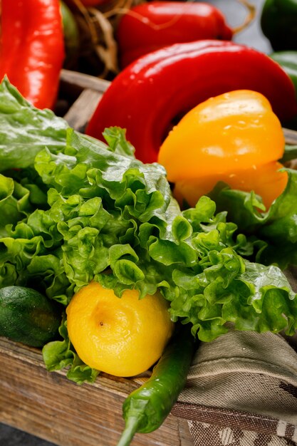 Greenery with color peppers in a tray.