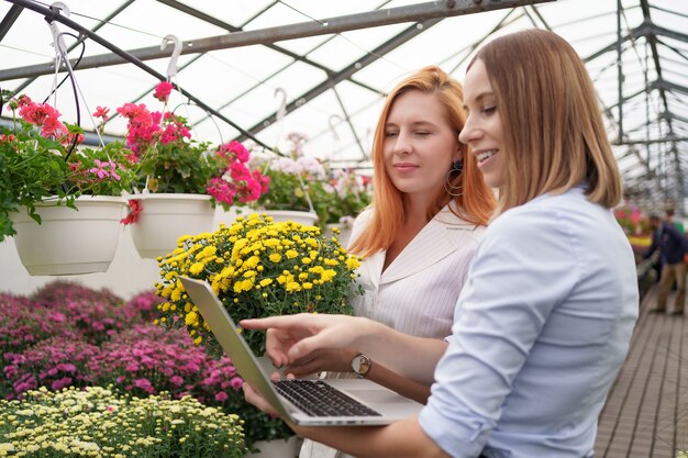 노트북을 사용하는 잠재 고객 소매 업체에 꽃 옵션을 제시하는 온실 소유자.