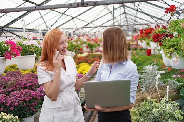 温室の所有者は、ラップトップを使用して潜在的な顧客小売業者に花のオプションを提示します。