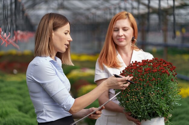 잠재적 인 고객 소매 업체에 꽃 옵션을 제시하는 온실 소유자.