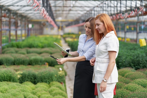 Free photo greenhouse owner presenting flowers options to a potential customer retailer.