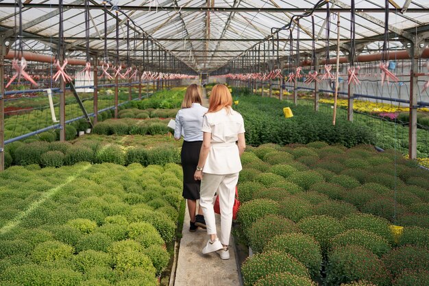 Greenhouse owner presenting flowers options to a potential customer retailer.