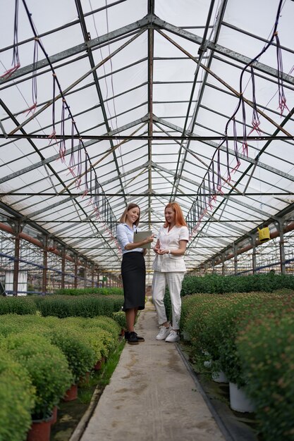 Greenhouse owner presenting flowers options to a potential customer retailer.