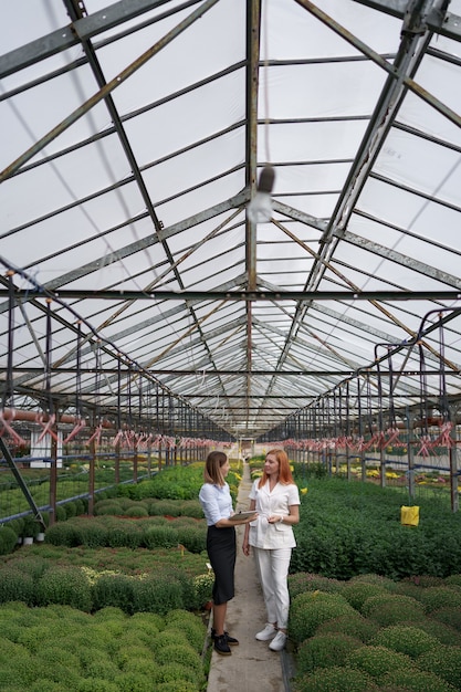 Greenhouse owner presenting flowers options to a potential customer retailer.