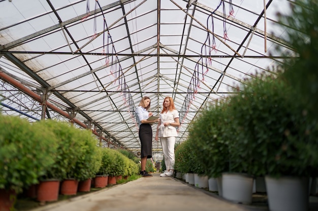 Greenhouse owner presenting flowers options to a potential customer retailer.