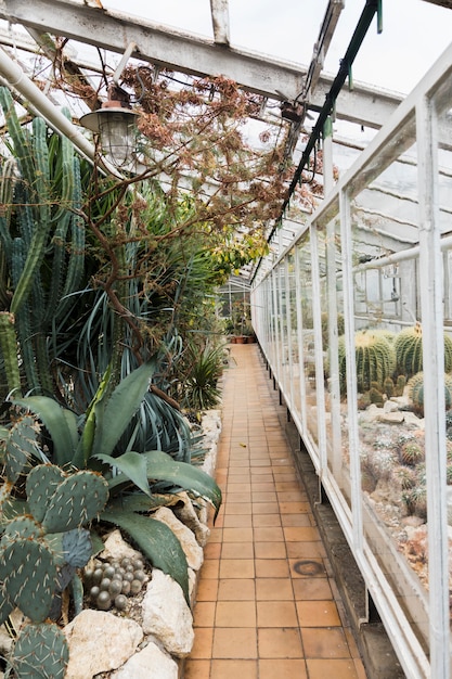 Free photo greenhouse still life