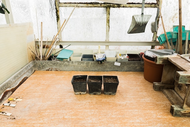 Free photo greenhouse still life