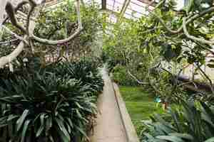 Free photo greenhouse still life