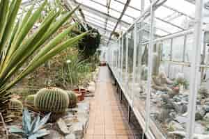 Free photo greenhouse still life