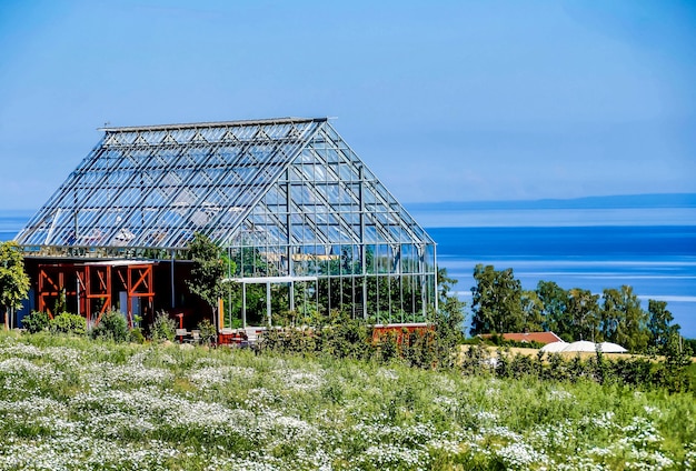 Greenhouse surrounded by trees and grass in Sweden