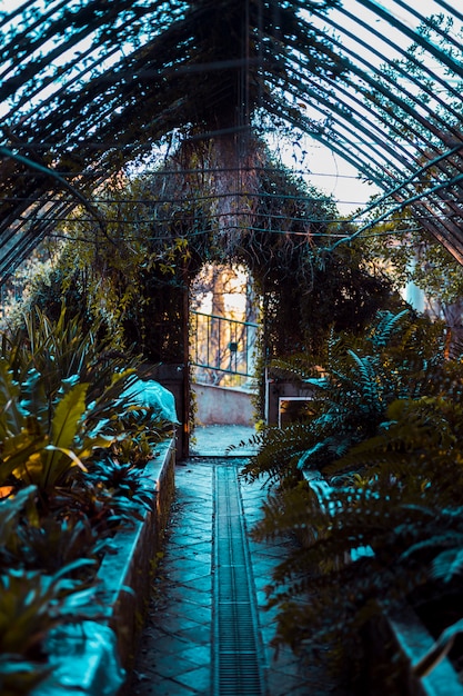 Greenhouse with Botanical Plants Free Stock Photo – Download for Free