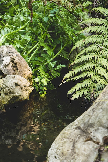 Greens surround stream