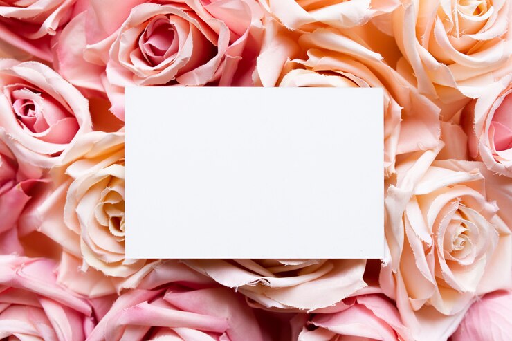 Free Photo greeting card on pink roses