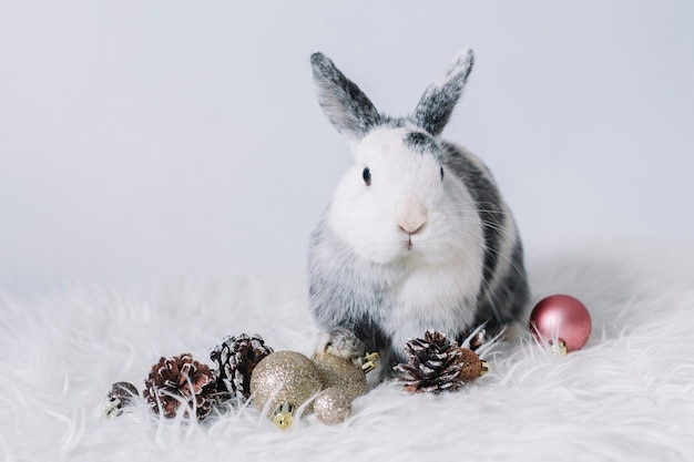 Grey rabbit with small shiny baubles