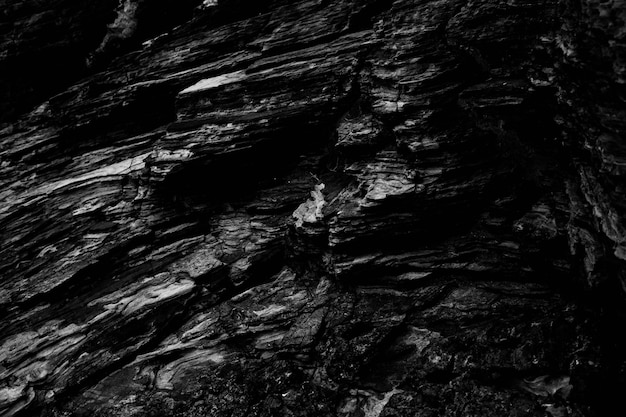 Grey scale shot of the patterns of the beautiful rock formations