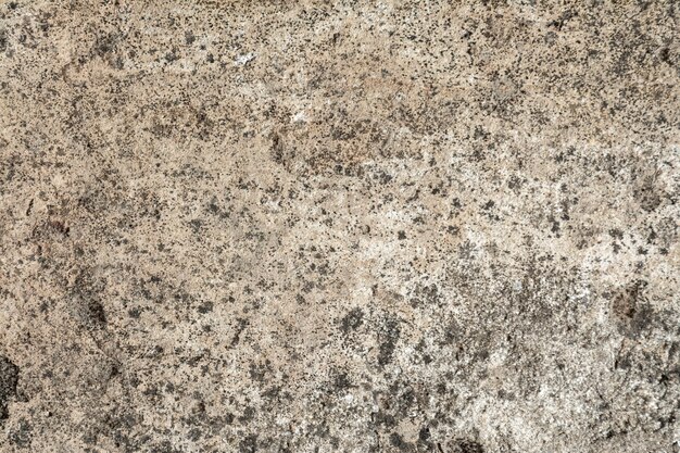 Grey Stone Texture