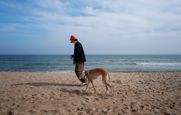 Free photo greyhound dog with male owner at the beach