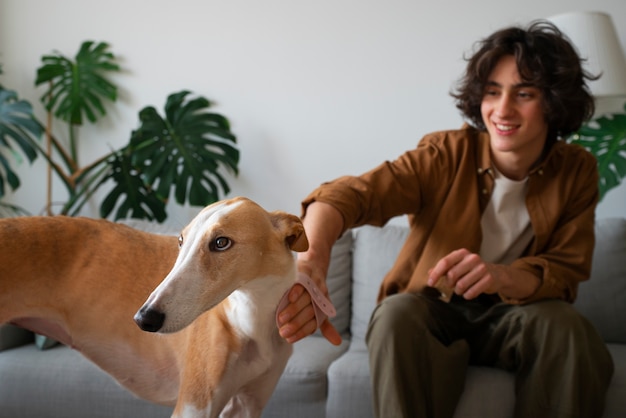 自宅のソファで男性の所有者と一緒にいるグレイハウンド犬