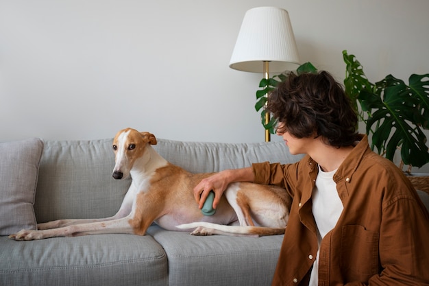 Greyhound dog with male owner at home on couch