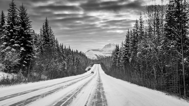 Free photo greyscale shot of a car on a highway in the middle of a forest surrounded by snowy mountains