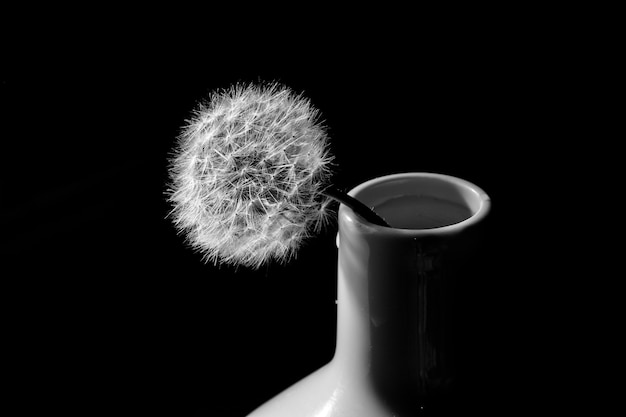 Free photo greyscale shot of a dandelion in a white ceramic vase