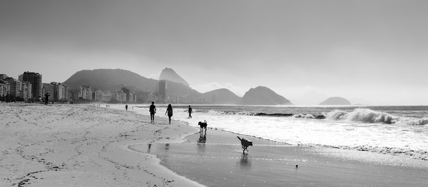 Greyscale shot of people and pets on the shore of the sea in Brazil
