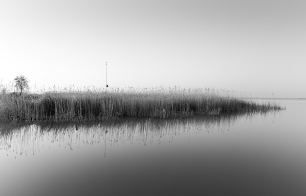 Greyscale shot of a small island with a lot of grass reflecting on the sea