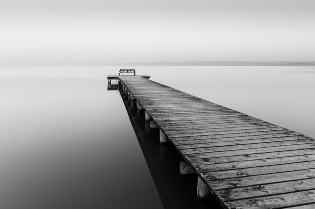 Greyscale shot of a wooden dog near the sea with fog