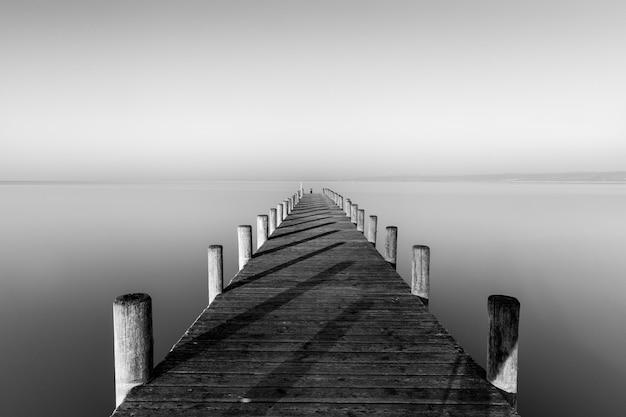 Greyscale shot of a wooden dog near the sea with a foggy background