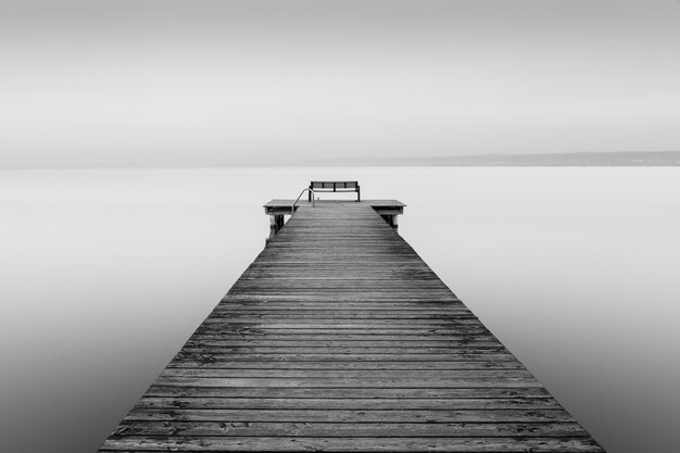 Greyscale shot of a wooden dog near the sea with a foggy background