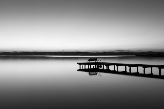 Free photo greyscale shot of a wooden dog near the sea with a foggy background