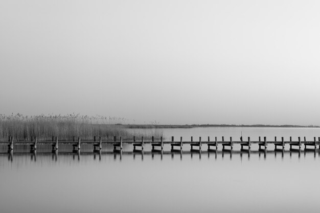 Серый снимок деревянного пирса у моря в дневное время