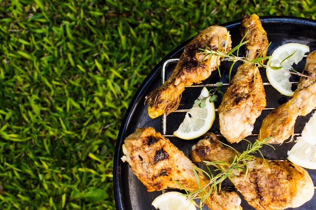 Grilled meat with rosemary and lemon on picnic