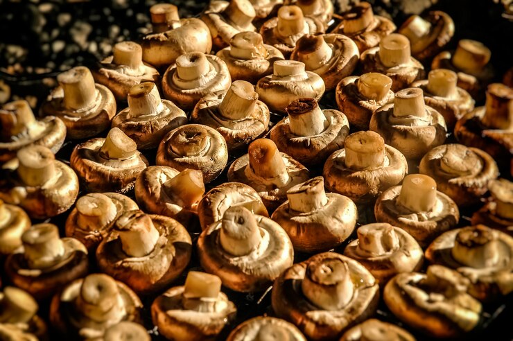Free Photo grilled mushrooms