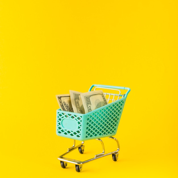 Бесплатное фото Багажная корзина с деньгами