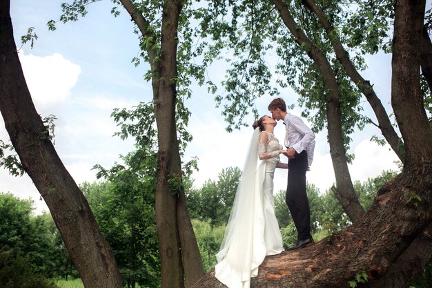 Groom and bride kissing on a tree