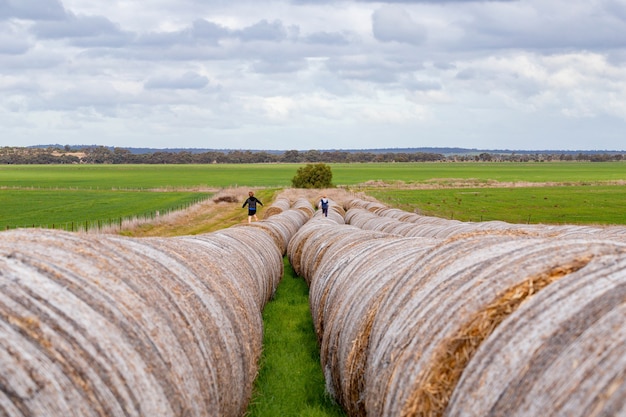 Free photo group of children running on a long row of round hay bales on an overcast day under a cloudy sky