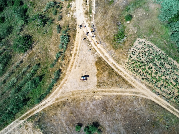 Group of cyclists in the country road