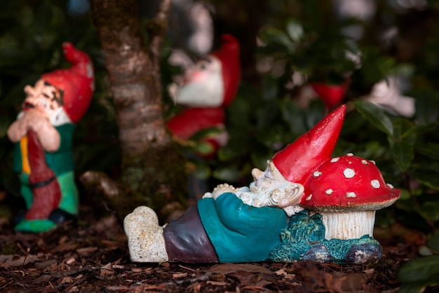 Free photo group of different funny garden gnomes