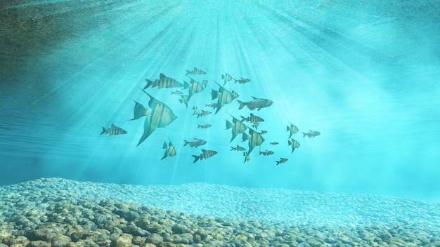 Group of fish