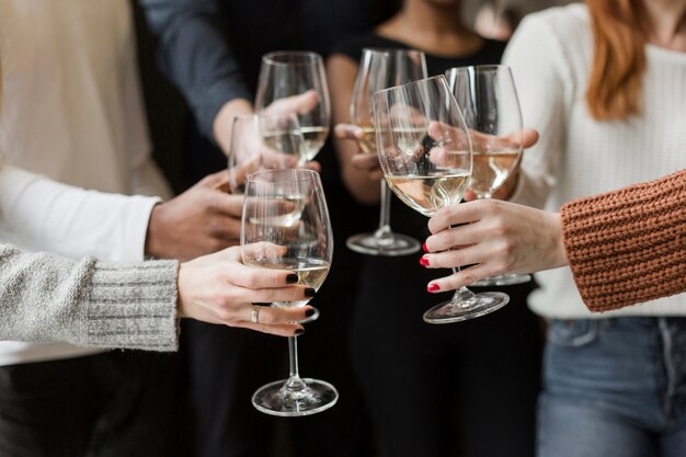 Group of friends toasting wine glasses together