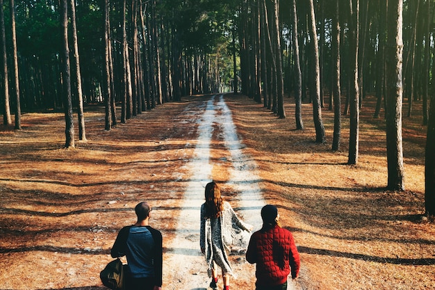 Group of friends travel in the forest together