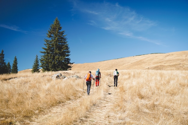 group of hikers walking through a field of dry grass on a cloudy day