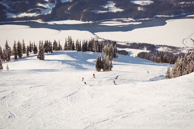 무료 사진 눈 덮인 알프스에서 스키 스키어의 그룹