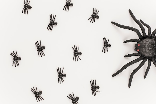 Бесплатное фото Группа маленьких пауков и большой